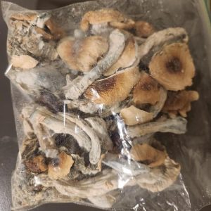 Buying Magic Mushrooms Online