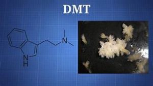 Buy Dimethyltryptamine Online N,N-Dimethyltryptamine Drug. Dmtforsale.online https://dmtforsale.online/what-is-zelle-and-how-does-it-work-cnet-money/ https://dmtforsale.online/about-us/ https://dmtforsale.online/shop/ https://dmtforsale.online https://dmtforsale.online/contact/ https://online.fliphtml5.com/bugqe/pmsp/ Dmtforsale.online - Dmt | Buy DmT | Order Dmt |Buy Dmt Online |Buy Shrooms| Buy Adderall | Buy Molly|Buy Cocaine |Buy Psychedelic Dmtforsale Dmt | Buy DmT | Order Dmt |Buy Dmt Online |Buy Shrooms| Buy Adderall | Buy Molly |Buy Psychedelic